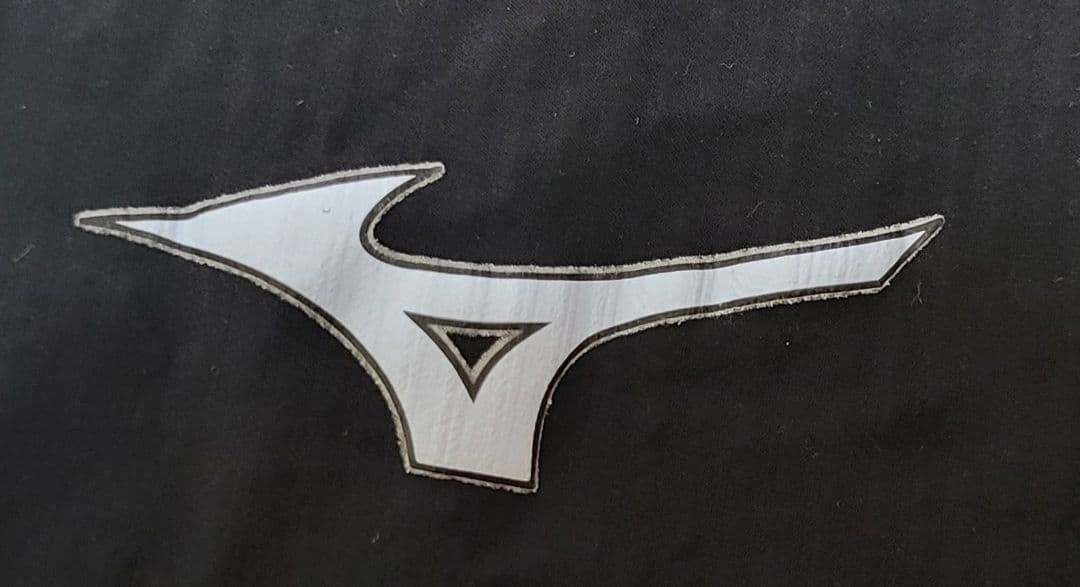 Mizuno 競泳水着 gx サイズM