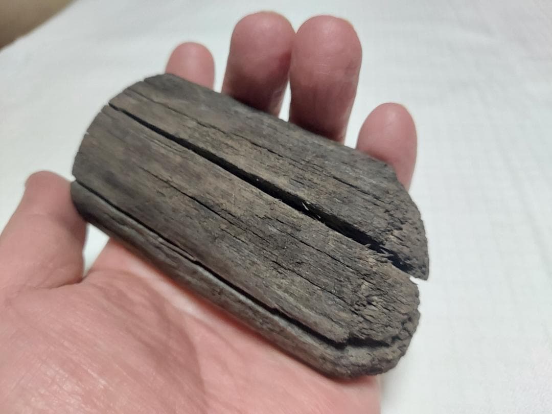 阿武隈川産 埋もれ木（割２）　新古今和歌集に詠まれた本物の伝承品