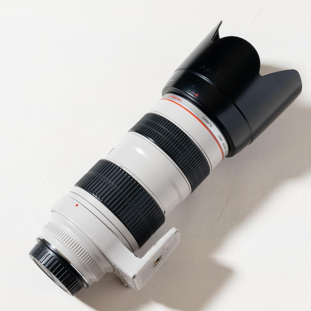 キヤノン Canon EF70-200mm F2.8L USM