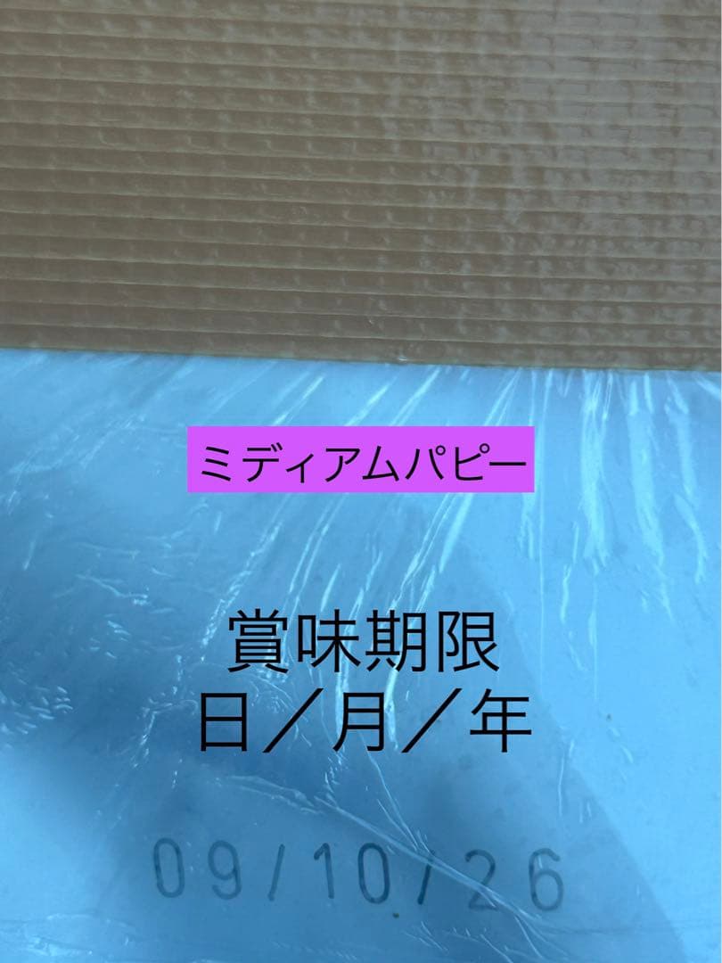 ロイヤルカナン　ミディアムパピー16kg