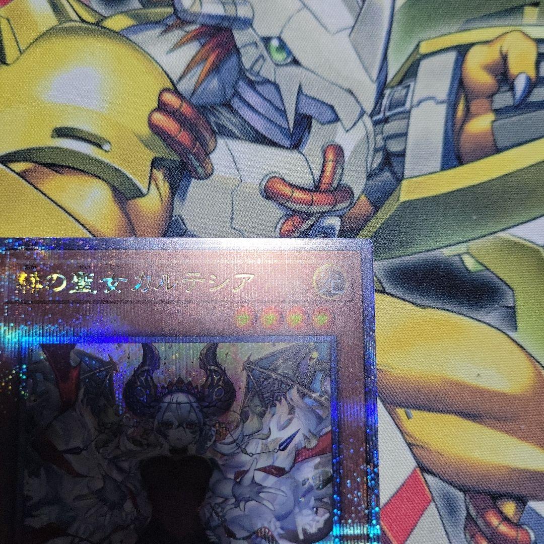 モ*ル様 赫の聖女カルテシア　25thシクレア