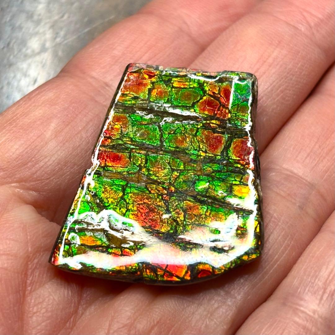 カナダ産 アンモライト 樹脂スタビライズ加工 天然宝石 化石 標本 両面遊色あり