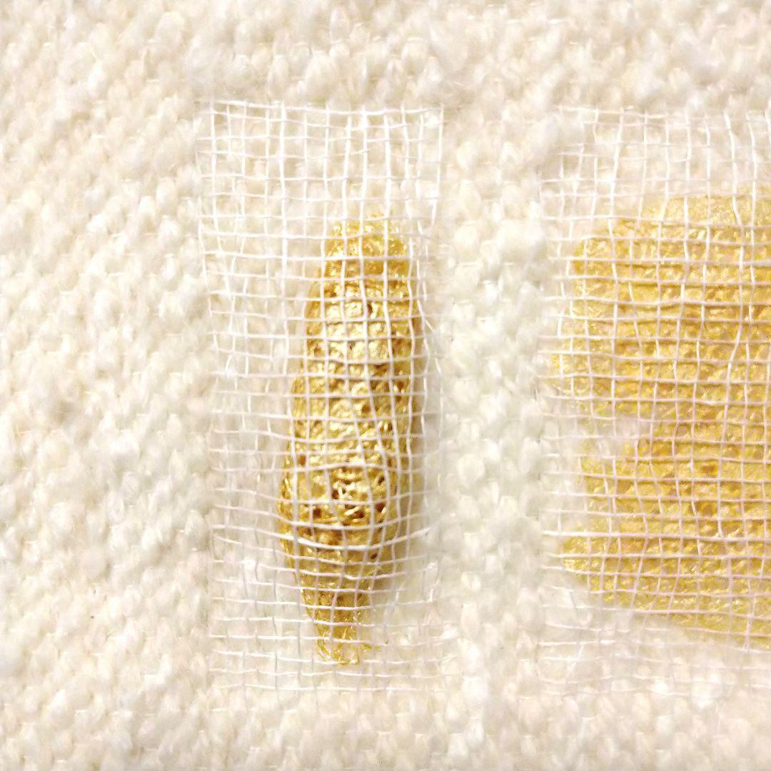 クリキュラ(Cricula Trifenestrata) 作品 美術品 アート