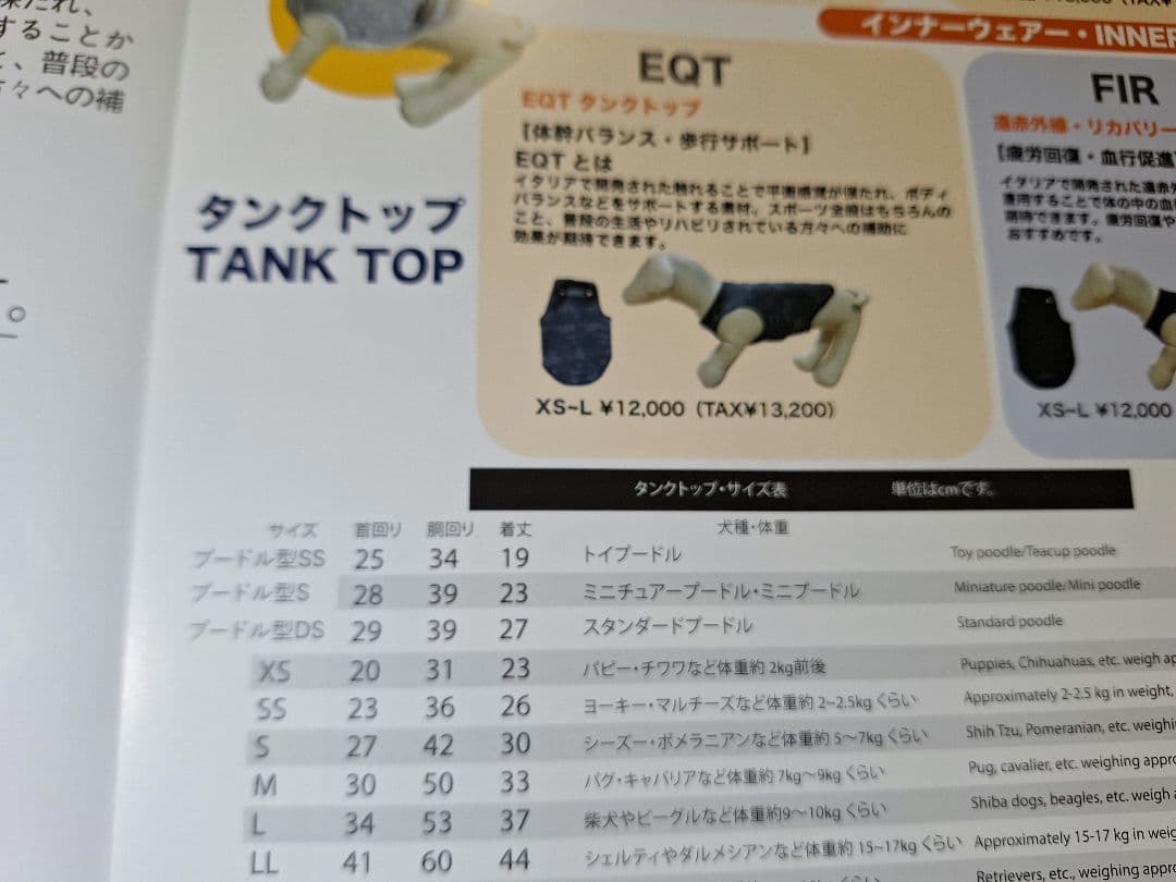 STEP EQT 歩けるくん インナー 体幹バランス