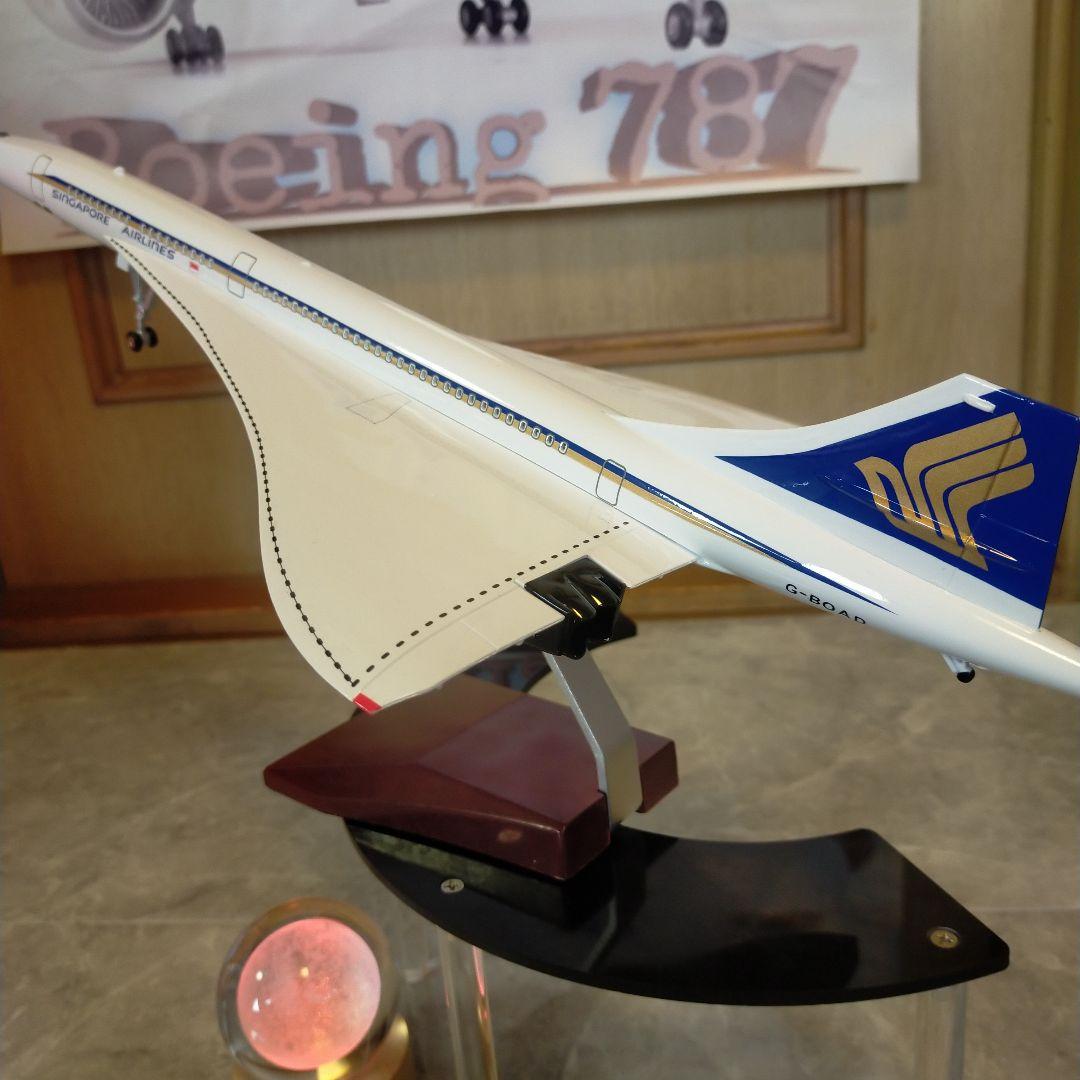 3/15着new! シンガポール52cmCONCORD1/125Big!