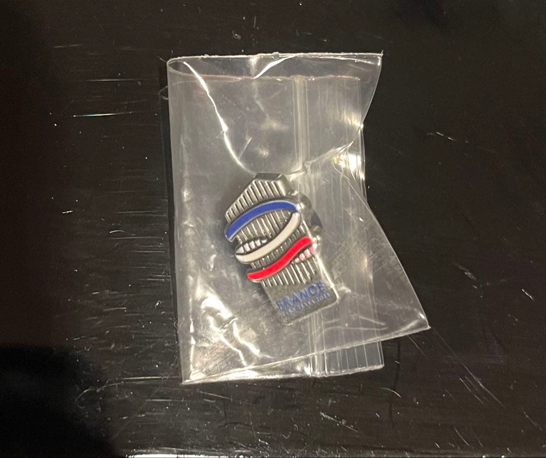 【激レア非売品】EXPO2025 フランス館VIP用ピンバッジ