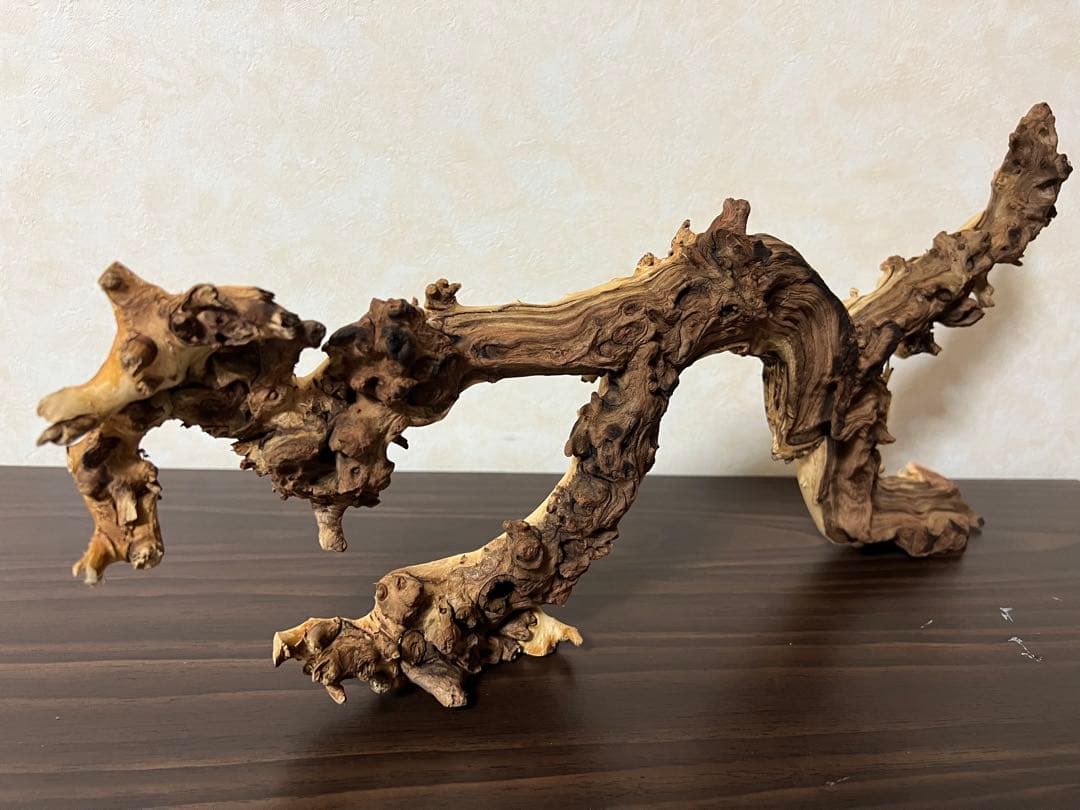 4045 流木　アクアリウム　沈水確認済　ブランチウッド