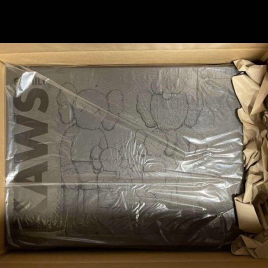 kaws カウズ　フィギュア