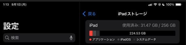iPad mini (第６世代) Cellular 256GB