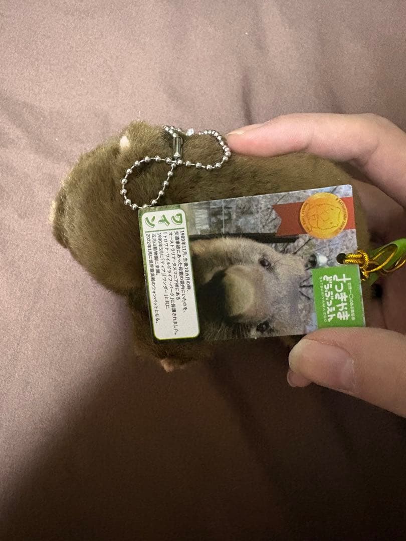 五月山動物園 ウォンバット ぬいぐるみ　タグ付き ワイン フク