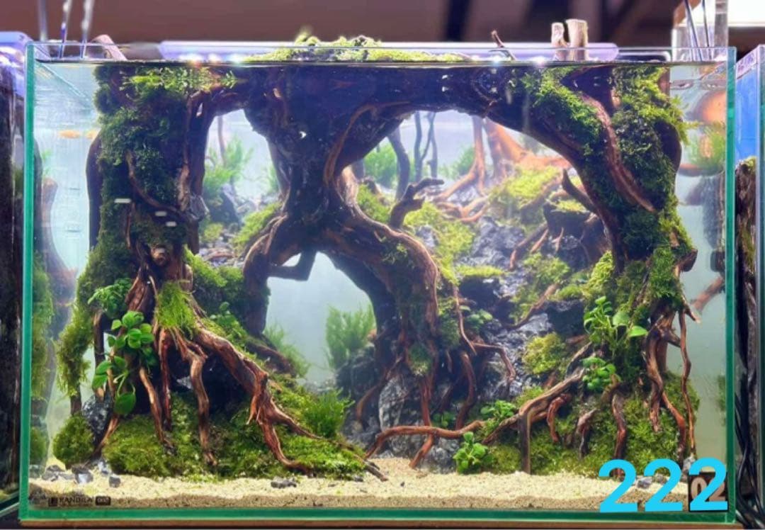 水槽用流木 自然なデザイン. 盆栽流木　の水槽、水草用の 流木。流木アクアリウム