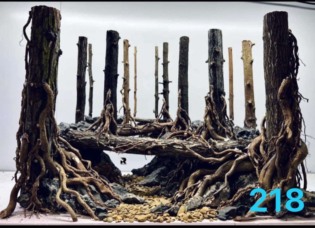 水槽用流木 自然なデザイン. 盆栽流木　の水槽、水草用の 流木。流木アクアリウム