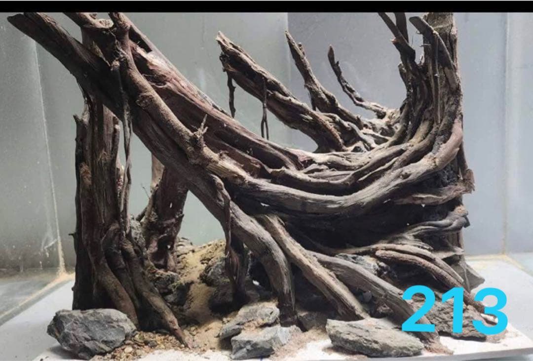 水槽用流木 自然なデザイン. 盆栽流木　の水槽、水草用の 流木。流木アクアリウム