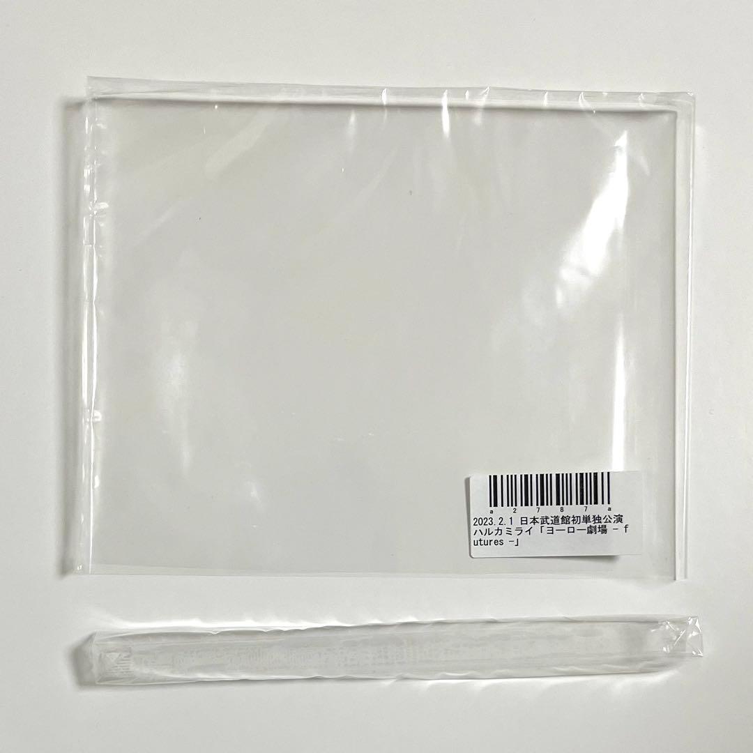 ハルカミライ 日本武道館初単独公演 DVD 希少 廃盤