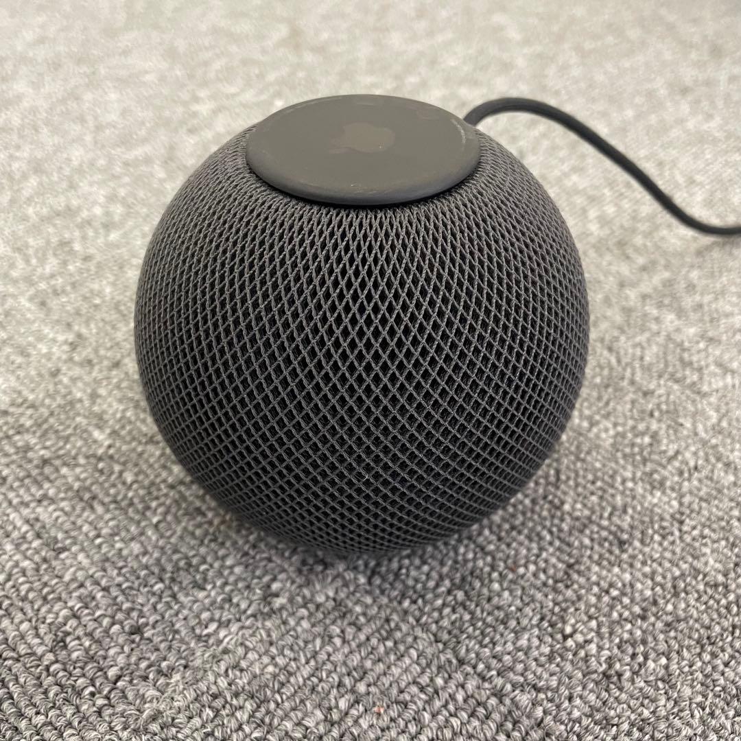  pod mini Apple タイプC電源　スマートスピーカー