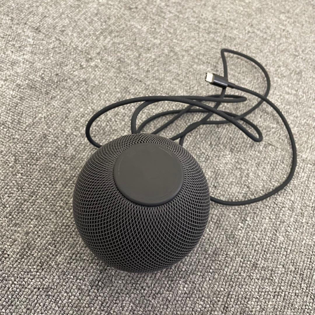  pod mini Apple タイプC電源　スマートスピーカー