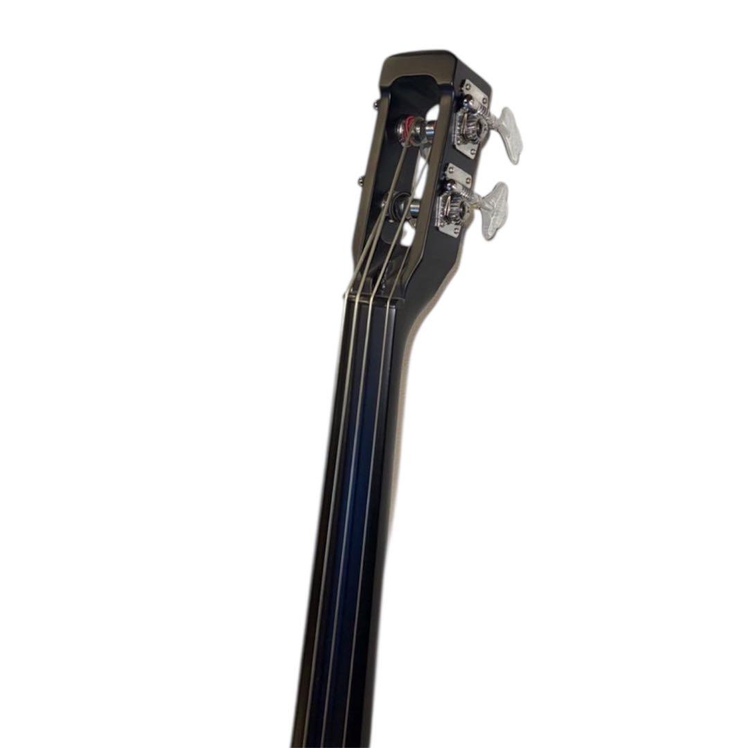 【美品】Hallstatt WBSE-850 KYB200アップライトベース