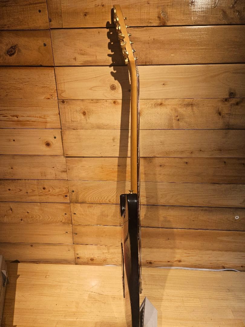 AriaProⅡ MAGNA-series エレキギター