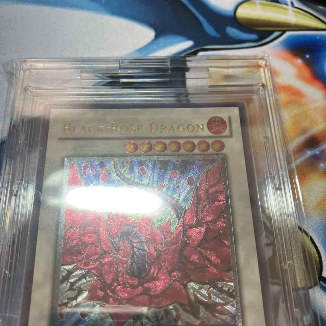 ブラック・ローズ・ドラゴン CSOC-JP039 英語　レリーフ　⑥深堀