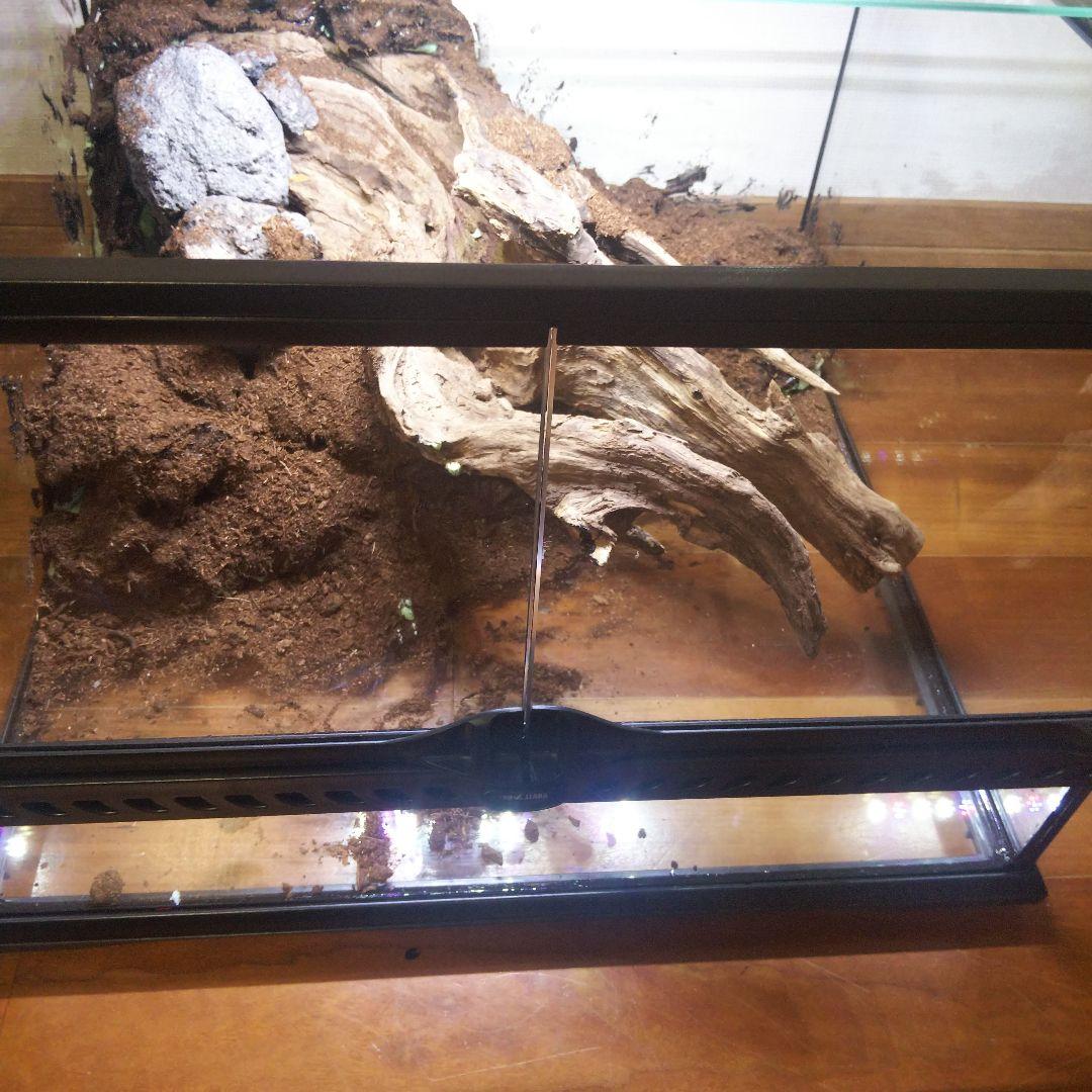 【受注生産】爬虫類飼育ケージ　テラリウム　ビバリウム