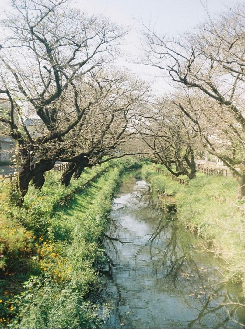 OLYMPUS コンパクトフィルムカメラ E.Zuikoレンズ　ストラップ付き