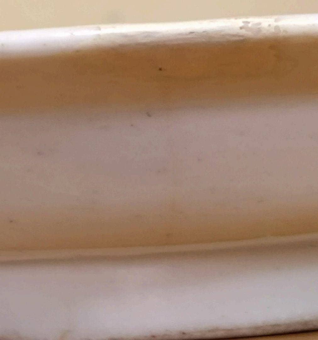 初期柿右衛門　芙蓉手　初期赤絵