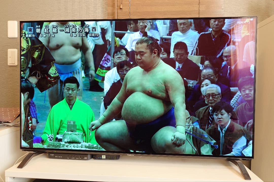 【早川】Panasonic パナソニック 有機ELテレビ 55型VIERA