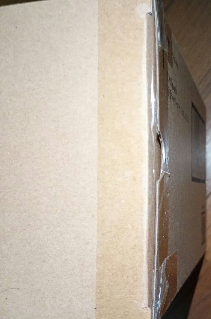 S.H.Figuarts（真骨彫製法）仮面ライダーW サイクロンスカル　風都探偵