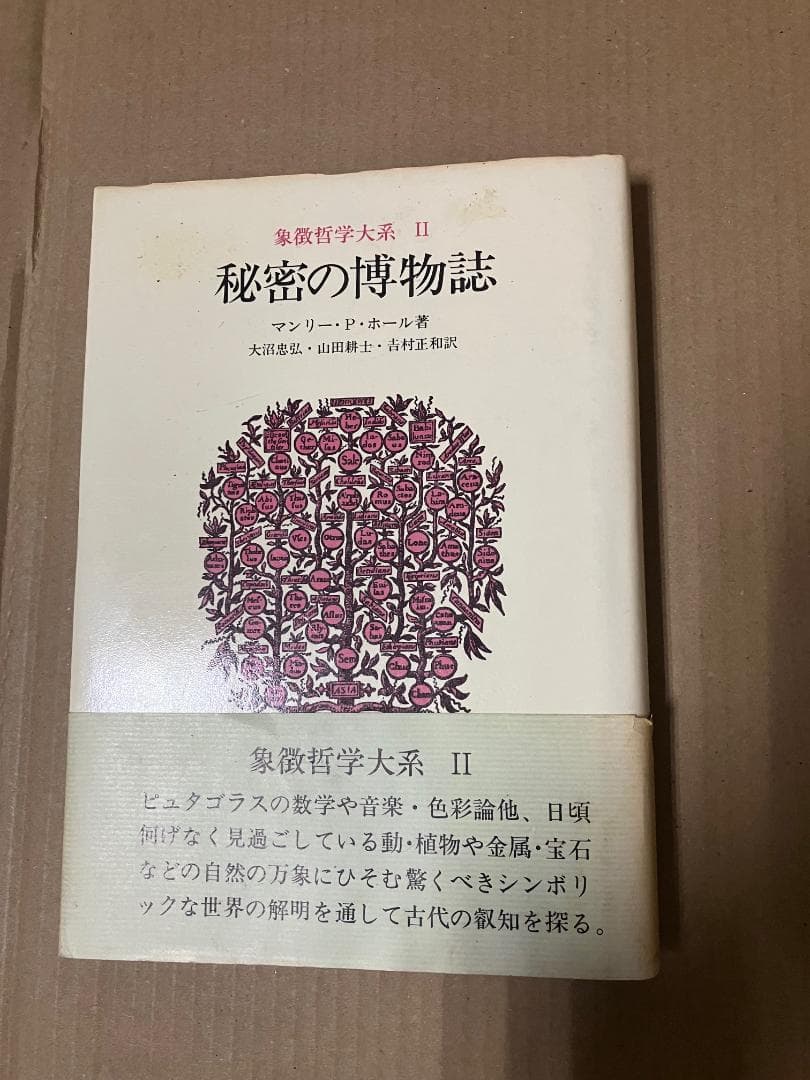 ＊ラビットフットさん専用＊人文書院　象徴哲学体系１・２・４　魔術の歴史