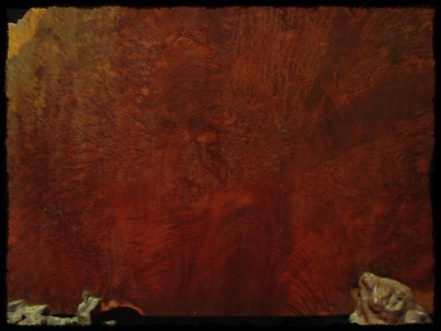 大型 花梨 玉杢 瘤 衝立 結界 置物 一枚板 天然木 間仕切 玄関飾 e58