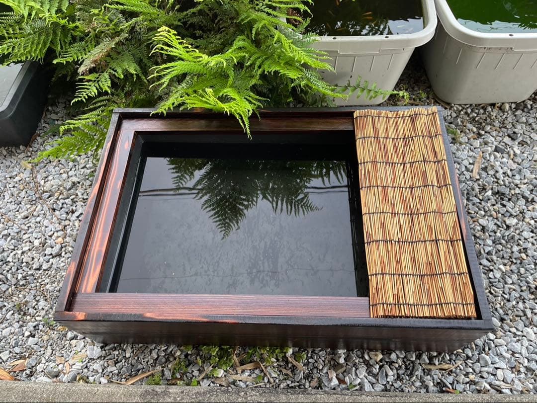 60Lトロ舟と木枠のセット　簾と産卵床のおまけ付き　メダカ　ビオトープ