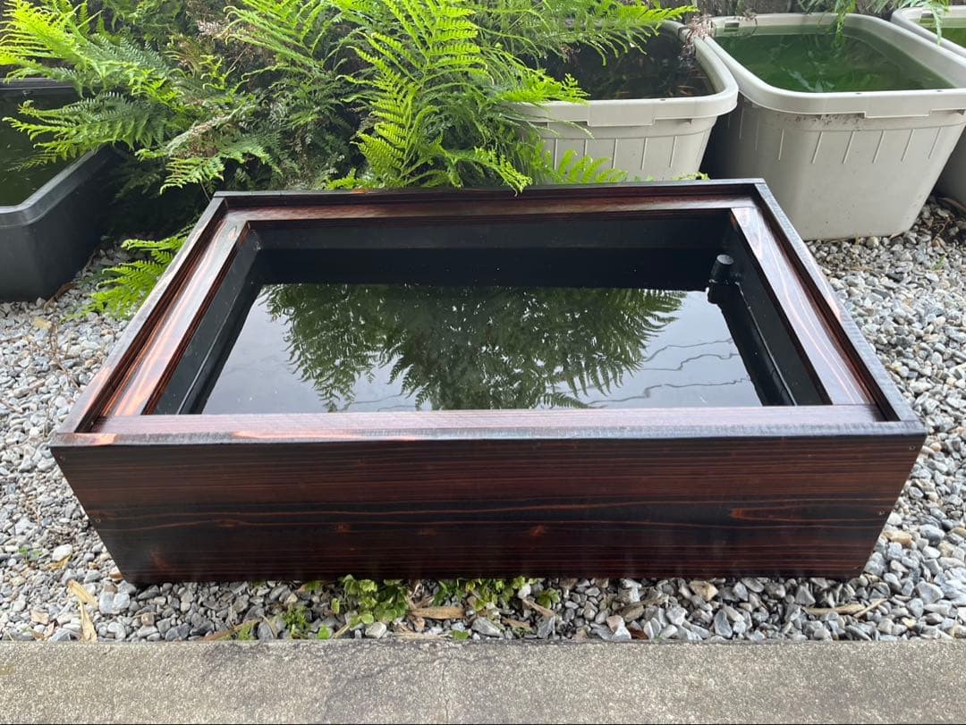 60Lトロ舟と木枠のセット　簾と産卵床のおまけ付き　メダカ　ビオトープ