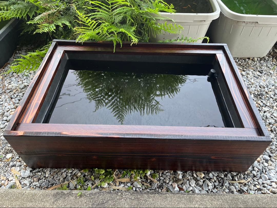 60Lトロ舟と木枠のセット　簾と産卵床のおまけ付き　メダカ　ビオトープ