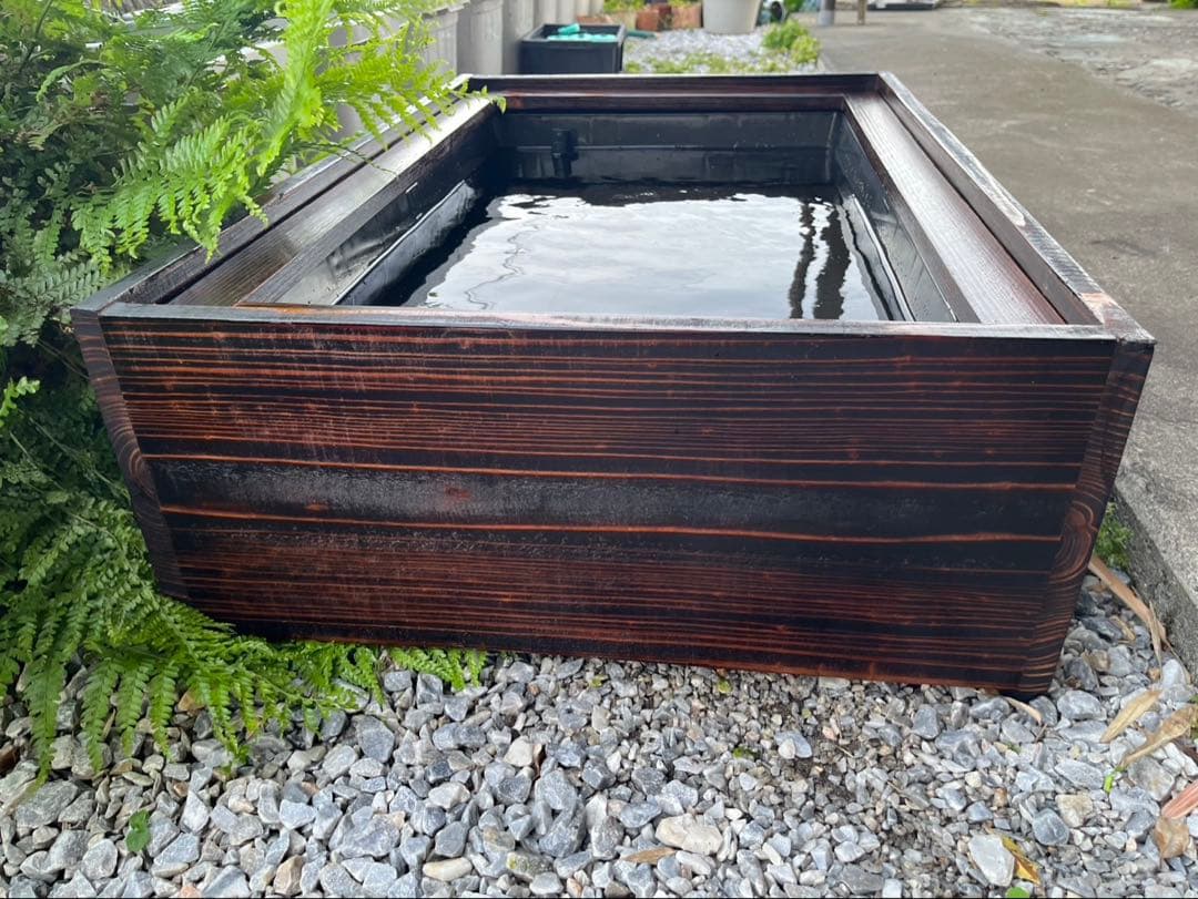 60Lトロ舟と木枠のセット　簾と産卵床のおまけ付き　メダカ　ビオトープ