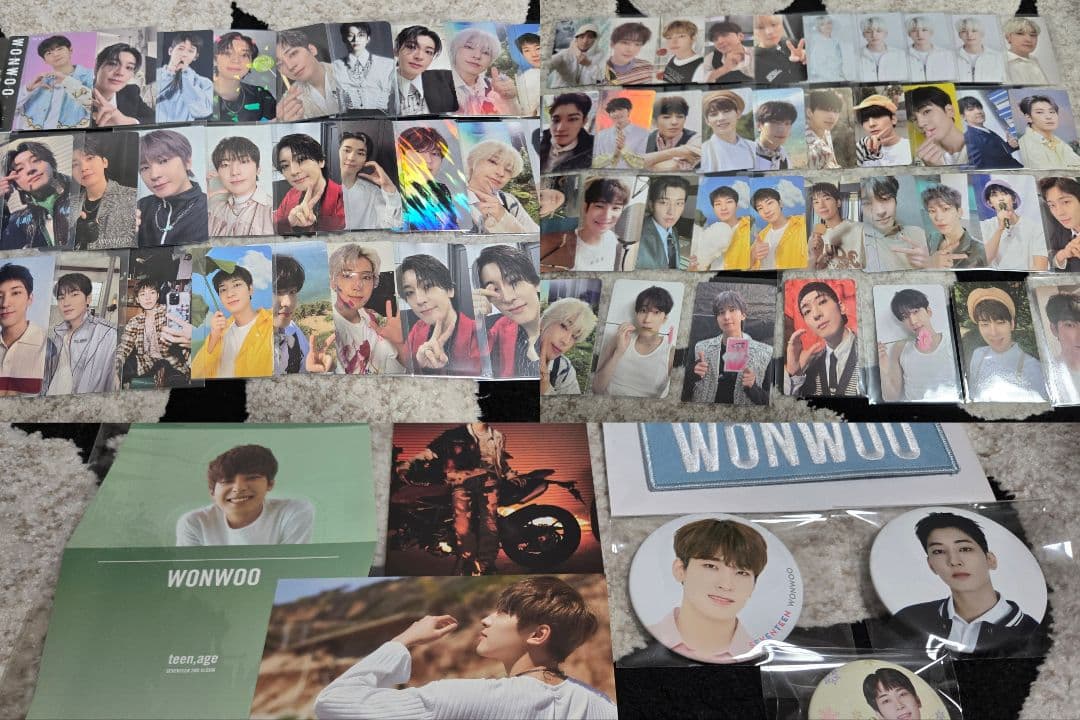 SEVENTEEN ウォヌ グッズ まとめ トレカ約100枚 Carat盤付き
