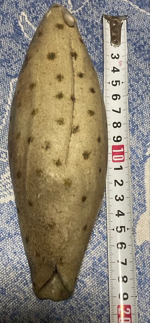 詳細不明 鳥の置物 陶器