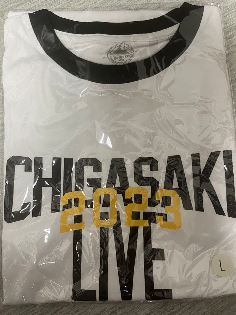 サザンオールスターズ茅ヶ崎2023 限定LIVE Tシャツ S, L