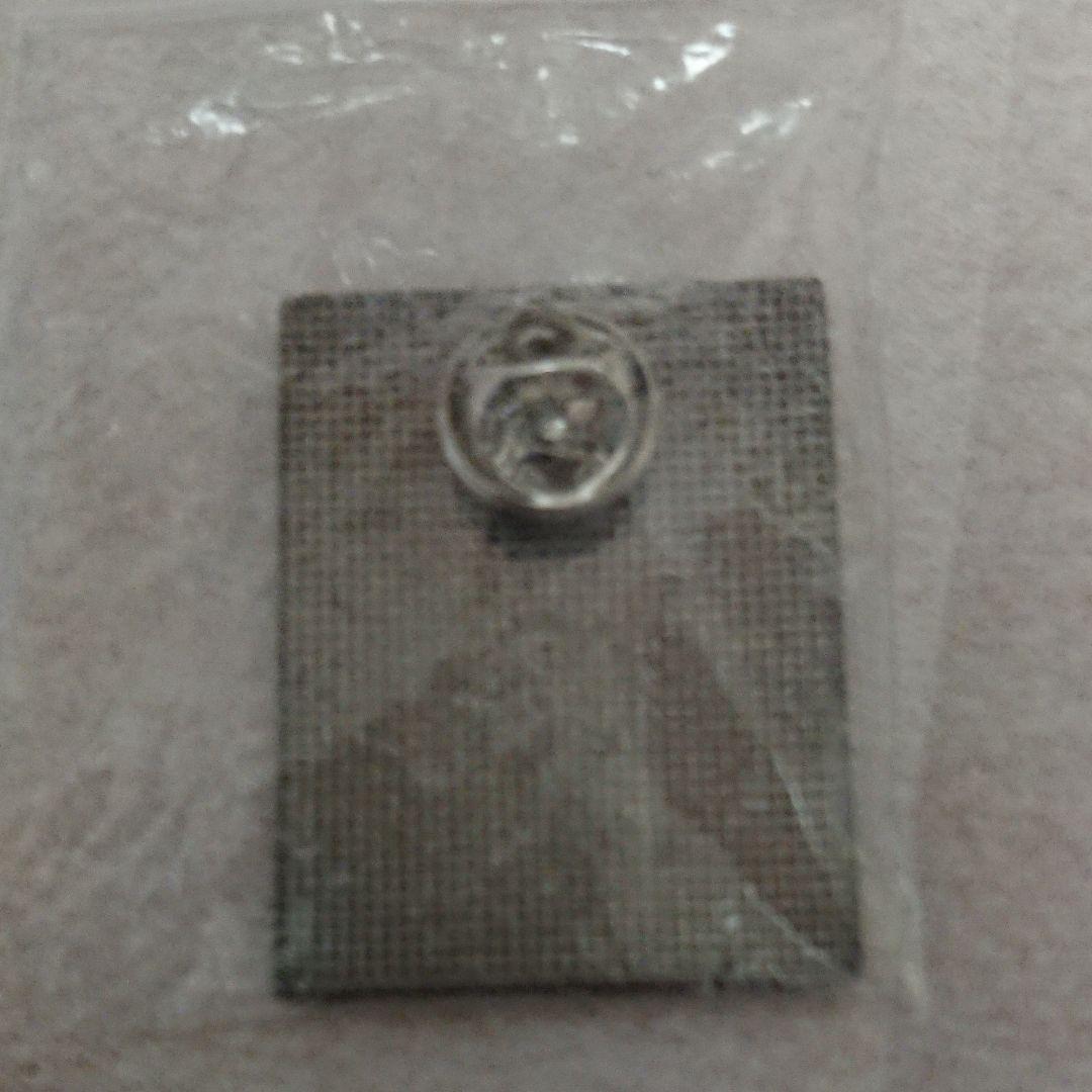 東京 2020 ピンバッジ アメリカ USAチーム オリンピック 非売品