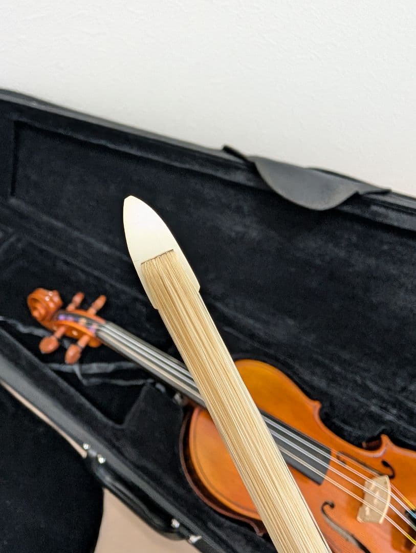バイオリン 4/4 本体 ケース付き ニコロ サンティ