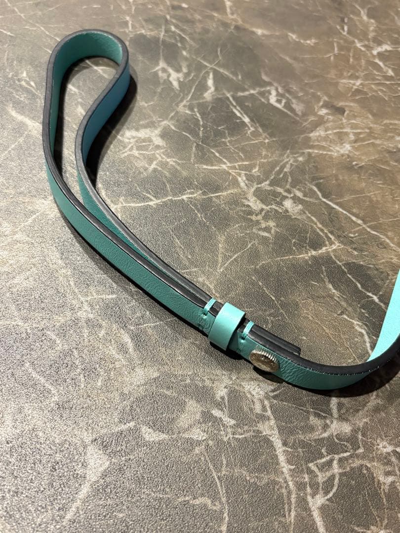 Tiffany & Co. ティファニー 首輪 カラー リード　セット　犬　XS