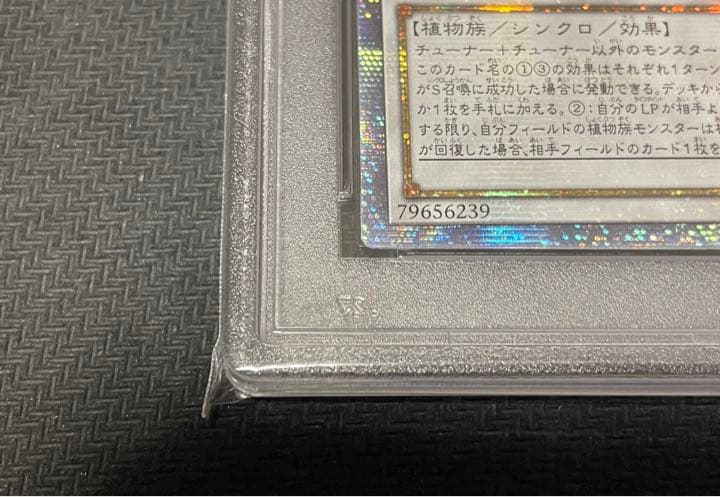 【最安値】遊戯王　アロマセラフィースイート・マジョラム　20th　PSA9
