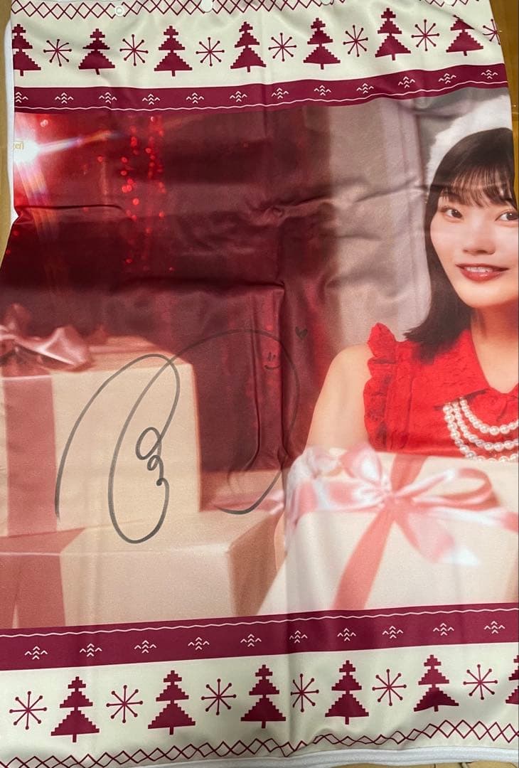 乃木坂46 フード付きクリスマスタオル　プリントカード2点直筆サイン　中西アルノ