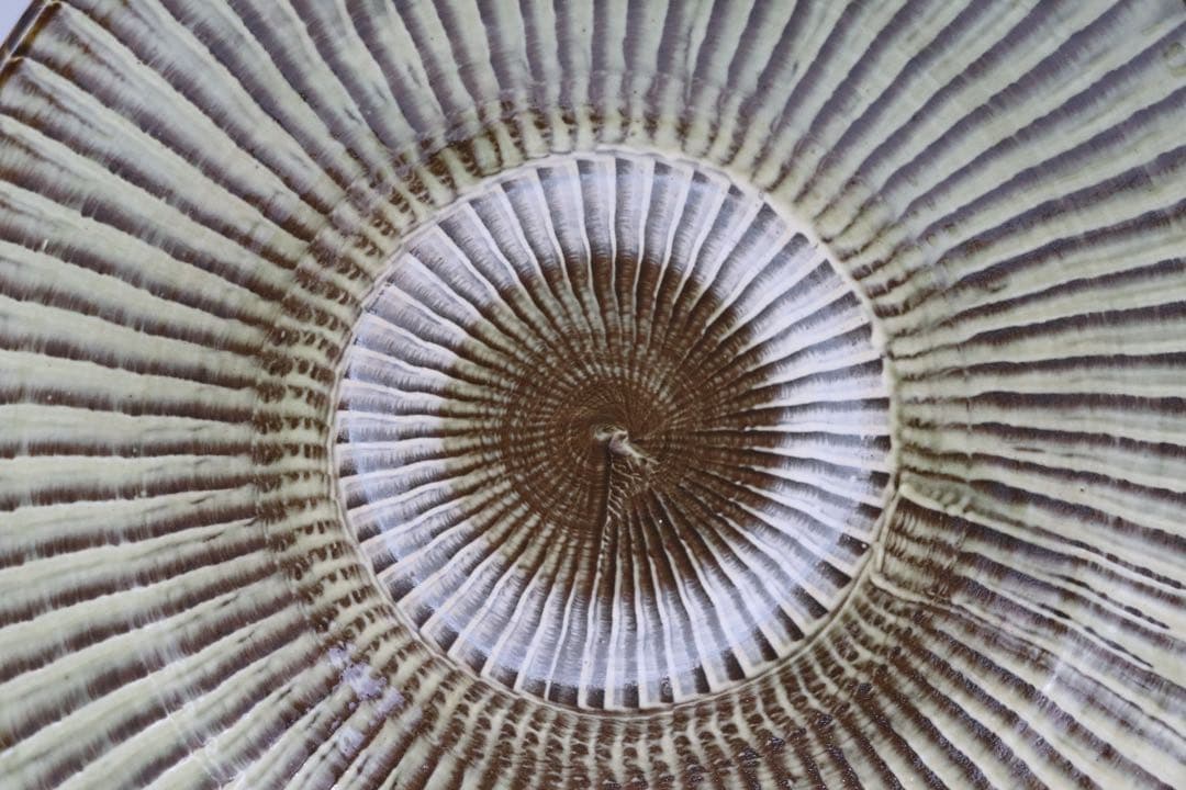 小鹿田焼　大皿　置物　共箱　送料込み1101