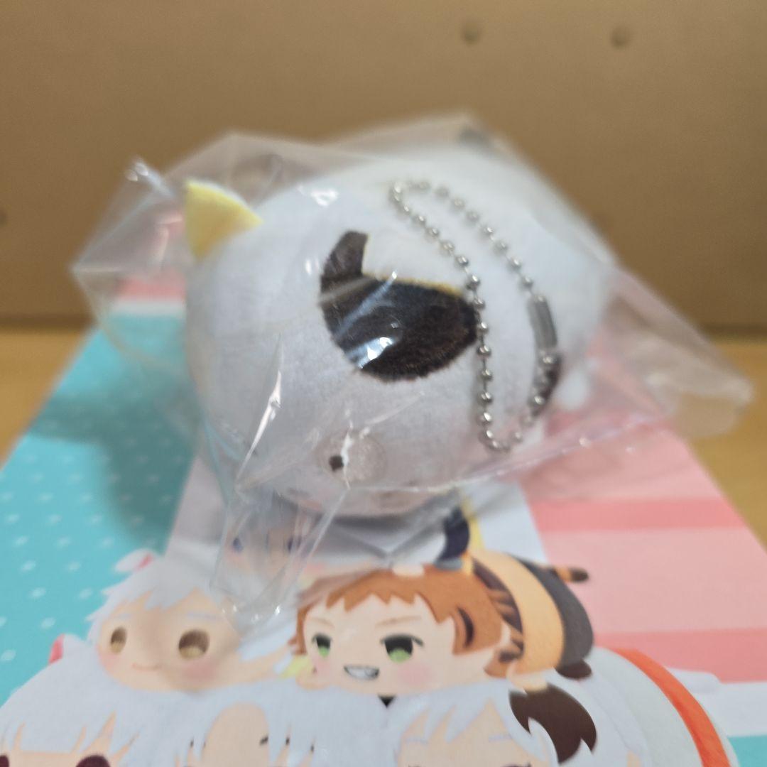 予約特典付き うちタマ?! もちもちマスコットぬいぐるみ ボックスセット