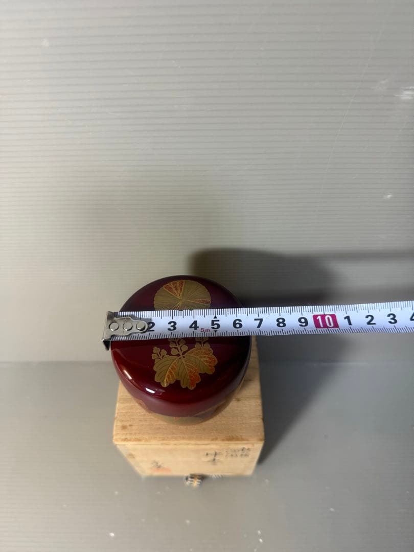 2483 【茶道具】道場宗廣作　秋の絵　中棗　未使用