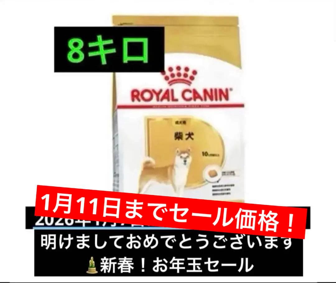 CANIN 柴犬　8kg 1袋　ロイヤルカナン