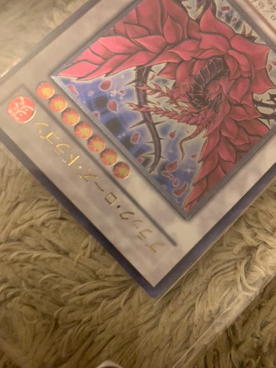 No.883遊戯王良品ブラックローズドラゴンレリーフCSOC-JP039