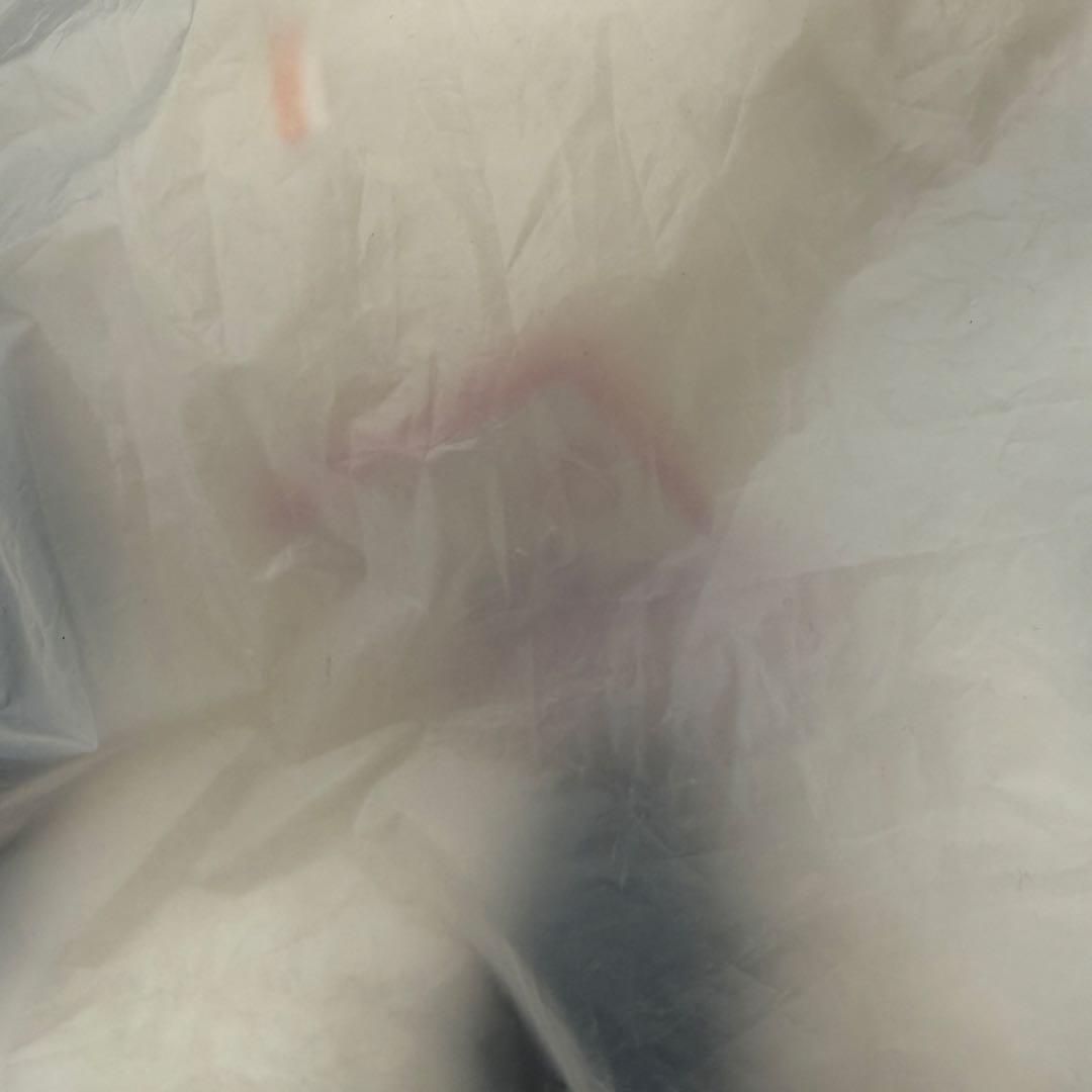 Stray Kids スキズ テディベア ぬいぐるみ SKZOO ジニレット