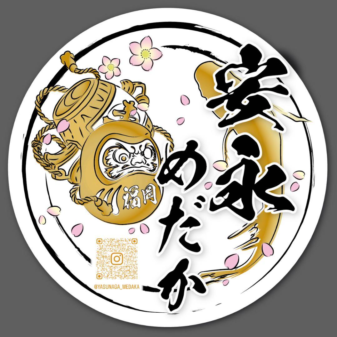 超お得6個セット！！【安永めだか】オリジナル横見ケース