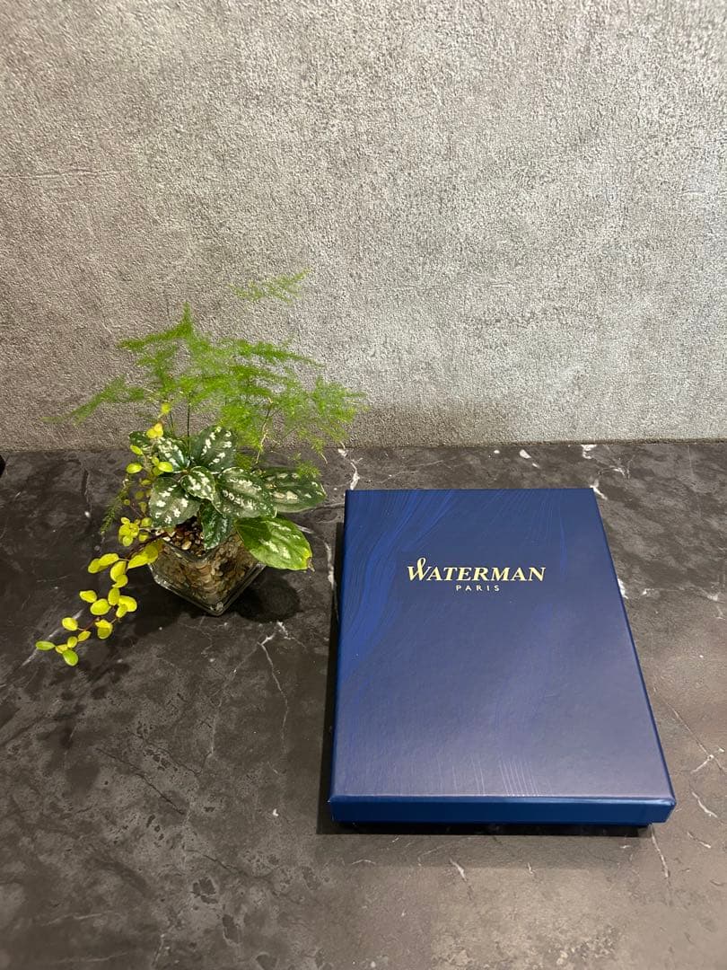 Waterman エキスパート　エッセンシャル ブルー